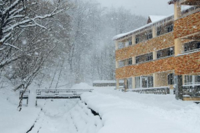 Отель Tsaghkahovit Hotel, Цахкадзор